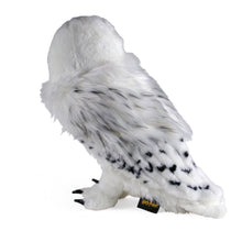Harry Potter - Hedwig Collector's Plush