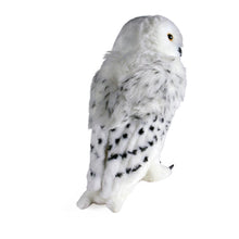 Harry Potter - Hedwig Collector's Plush
