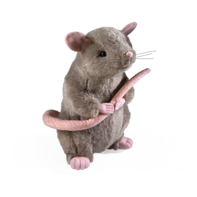 Harry Potter - Scabbers Plush