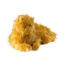 Harry Potter - Crookshanks Collector's 48cm Plush