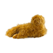 Harry Potter - Crookshanks Collector's 48cm Plush