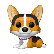 Pets - Corgi Pop! Vinyl